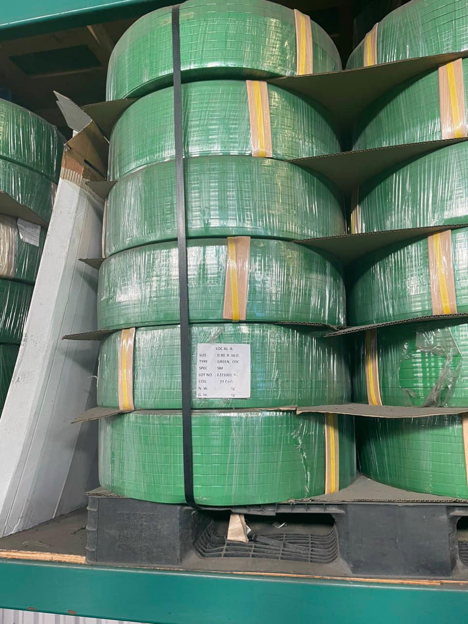 DÂY ĐAI PET GIÁ RẺ 2 DÂY ĐAI PET GIÁ RẺ - Ảnh 2