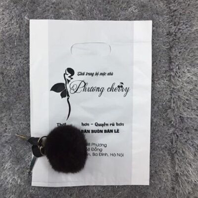 TÚI QUAI HẠT XOÀI 13 7be312b77feae2e69e2bf23b17a56d8c