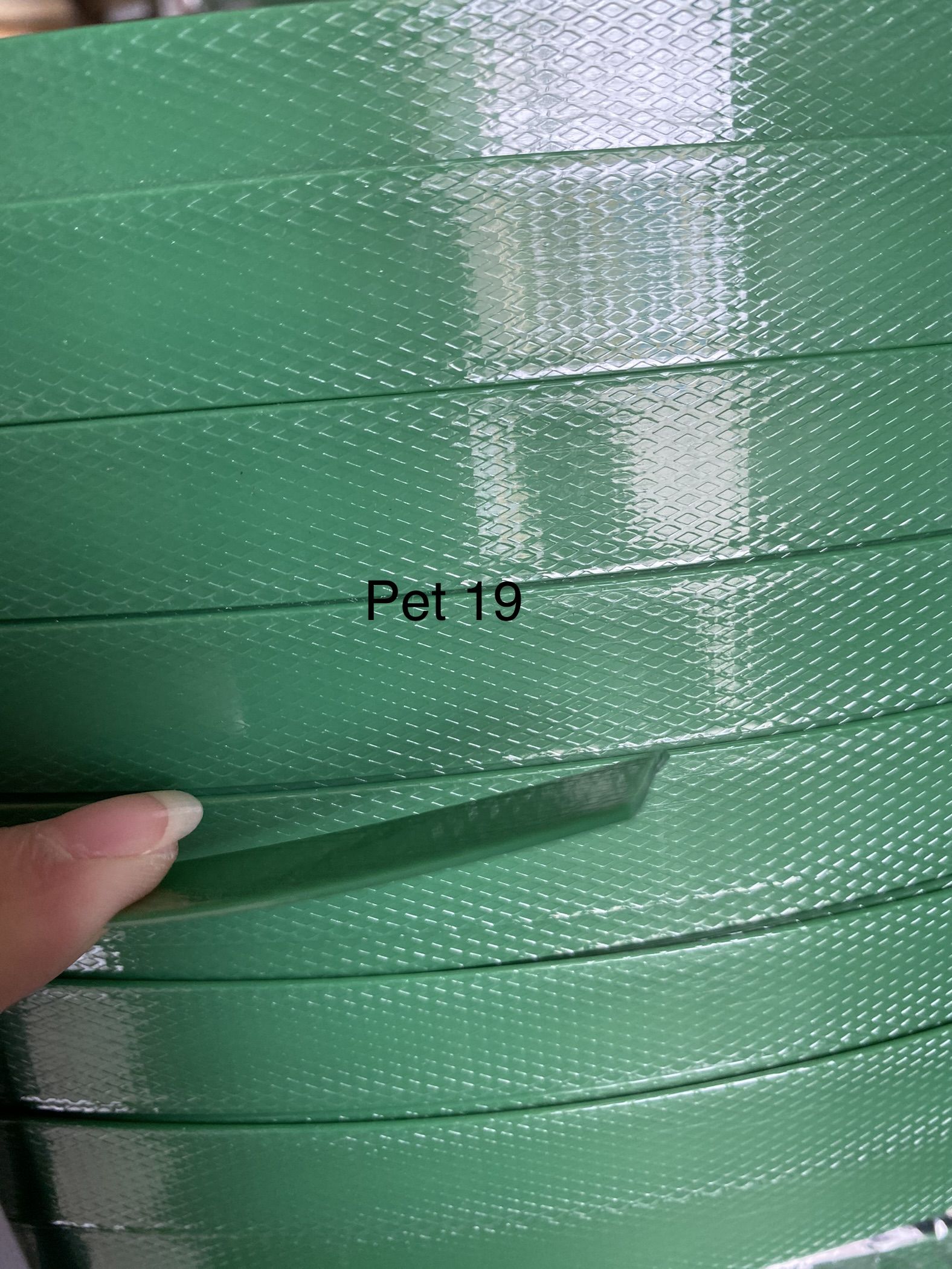 DÂY ĐAI PET GIÁ RẺ 4 DÂY ĐAI PET GIÁ RẺ - Ảnh 4
